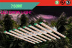 760W LED Multi-bar Full Spectrum LED grow light for indoor plants 5 Years Warranty - Image 3